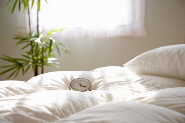 WEBサイトリニューアル公開のお知らせの画像